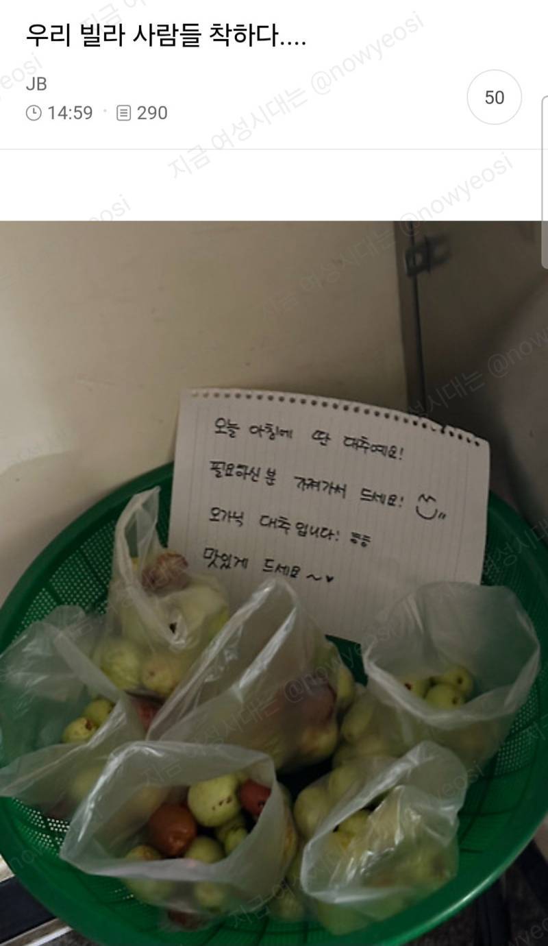 우리 빌라 사람들 착하다의 내용을 보여주는 이미지