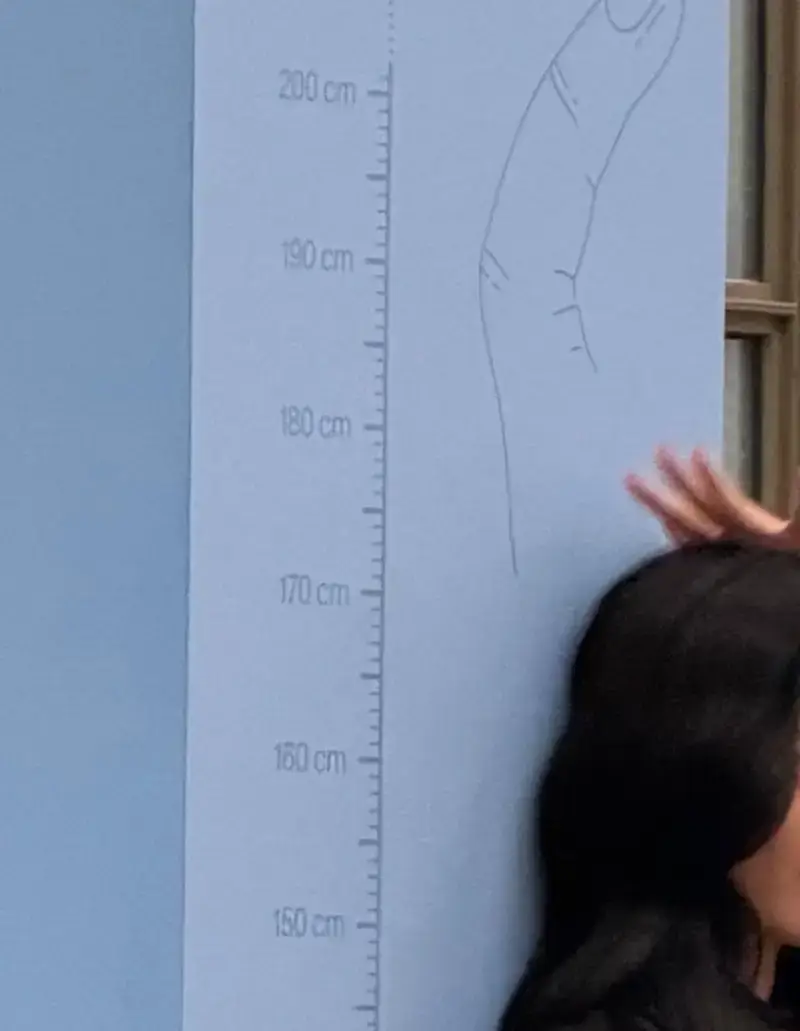 안유진 키 인증의 내용을 보여주는 이미지 관련 이미지 2