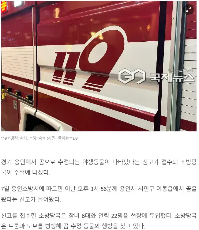 용인 곰 추정 야생동물 출몰의 내용을 보여주는 이미지 관련 이미지 2
