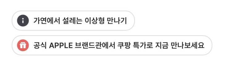 30초반녀 결정사 실패 후기의 내용을 보여주는 이미지 관련 이미지 4