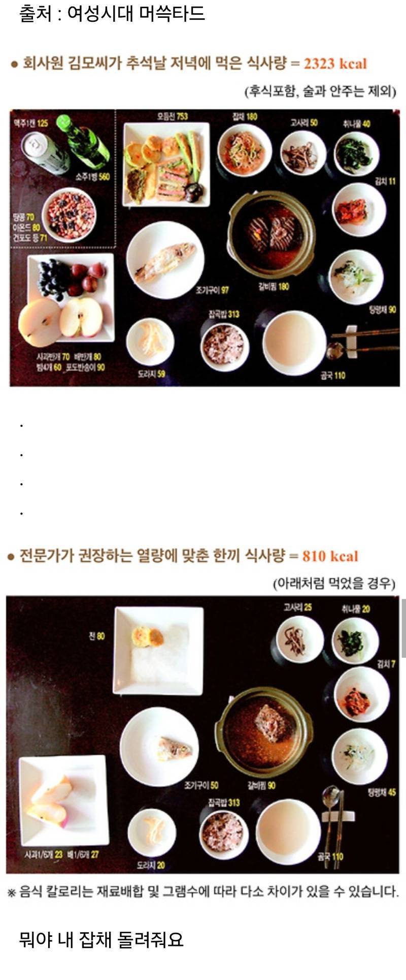 전문가가 권장하는 열량에 맞춘 식사량의 내용을 보여주는 이미지