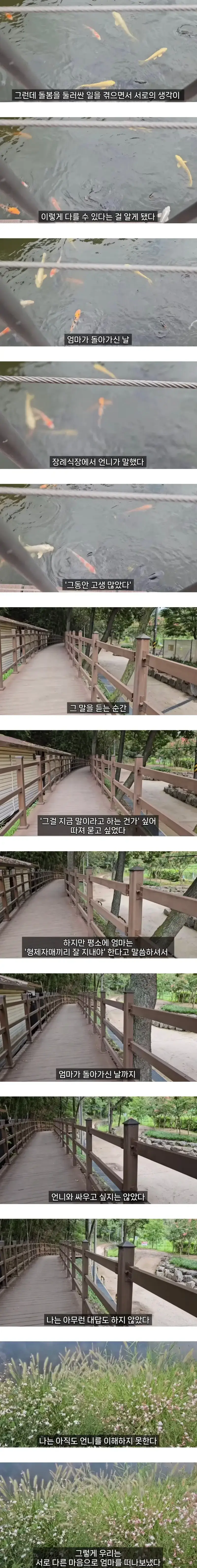 엄마를 돌보면서 자매도 남이 될 수 있다는 걸 알았다의 내용을 보여주는 이미지 관련 이미지 8