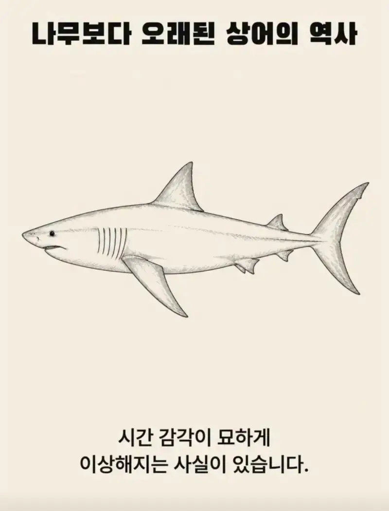 부캉이는 사실 지구 동물계 족보 끝판왕의 내용을 보여주는 이미지