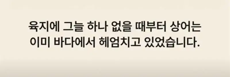 부캉이는 사실 지구 동물계 족보 끝판왕의 내용을 보여주는 이미지 관련 이미지 11