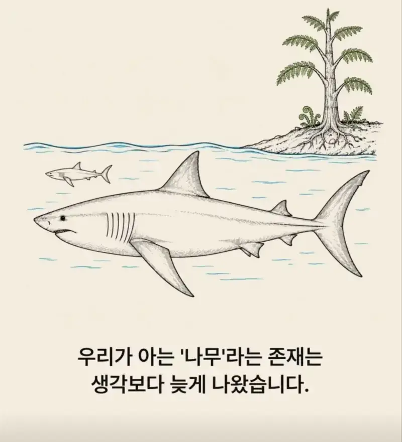 부캉이는 사실 지구 동물계 족보 끝판왕의 내용을 보여주는 이미지 관련 이미지 12