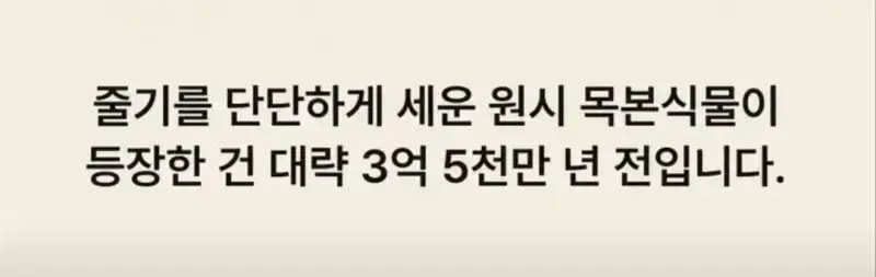부캉이는 사실 지구 동물계 족보 끝판왕의 내용을 보여주는 이미지 관련 이미지 13