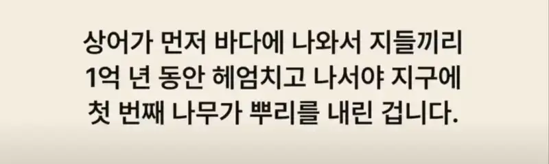 부캉이는 사실 지구 동물계 족보 끝판왕의 내용을 보여주는 이미지 관련 이미지 14