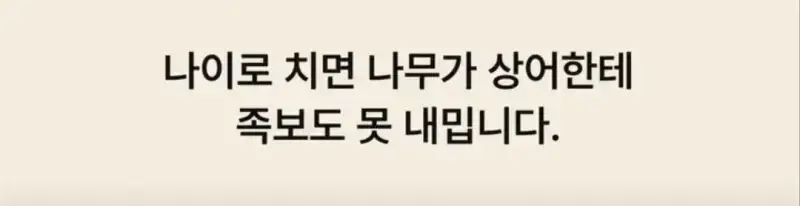 부캉이는 사실 지구 동물계 족보 끝판왕의 내용을 보여주는 이미지 관련 이미지 15