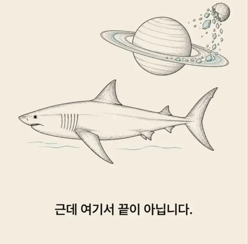 부캉이는 사실 지구 동물계 족보 끝판왕의 내용을 보여주는 이미지 관련 이미지 16