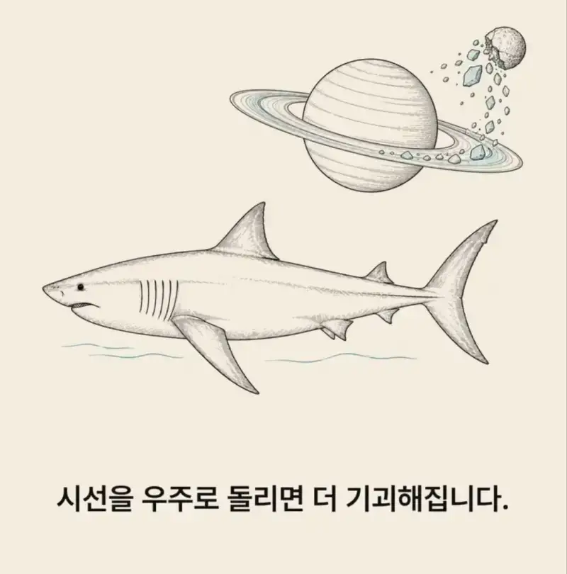 부캉이는 사실 지구 동물계 족보 끝판왕의 내용을 보여주는 이미지 관련 이미지 17