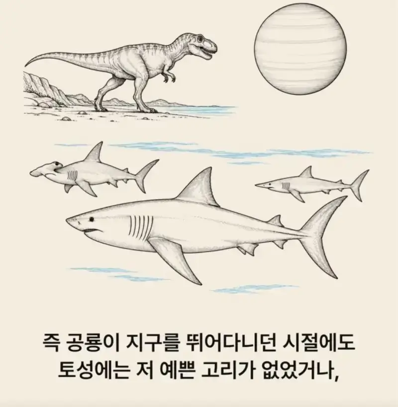 부캉이는 사실 지구 동물계 족보 끝판왕의 내용을 보여주는 이미지 관련 이미지 22