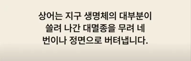 부캉이는 사실 지구 동물계 족보 끝판왕의 내용을 보여주는 이미지 관련 이미지 29