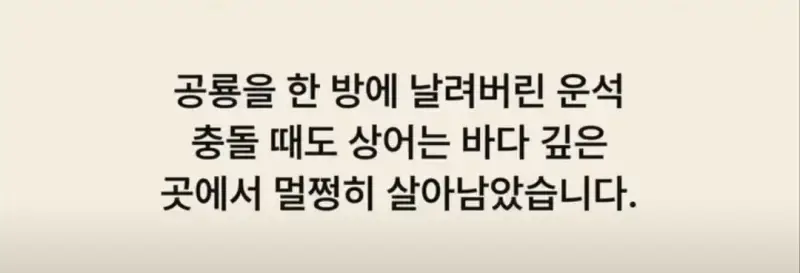 부캉이는 사실 지구 동물계 족보 끝판왕의 내용을 보여주는 이미지 관련 이미지 30