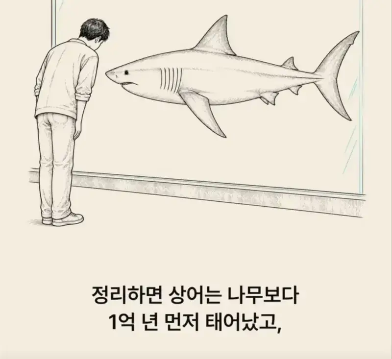 부캉이는 사실 지구 동물계 족보 끝판왕의 내용을 보여주는 이미지 관련 이미지 32