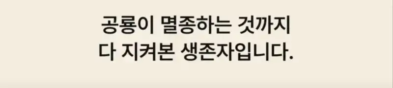 부캉이는 사실 지구 동물계 족보 끝판왕의 내용을 보여주는 이미지 관련 이미지 34
