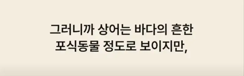 부캉이는 사실 지구 동물계 족보 끝판왕의 내용을 보여주는 이미지 관련 이미지 5