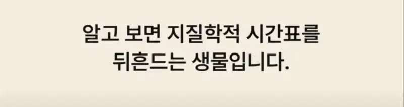 부캉이는 사실 지구 동물계 족보 끝판왕의 내용을 보여주는 이미지 관련 이미지 6