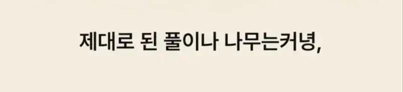부캉이는 사실 지구 동물계 족보 끝판왕의 내용을 보여주는 이미지 관련 이미지 9