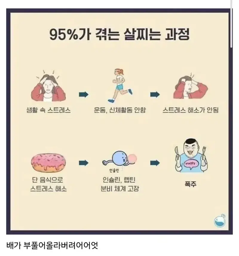 95%가 겪는 비만 루틴의 내용을 보여주는 이미지