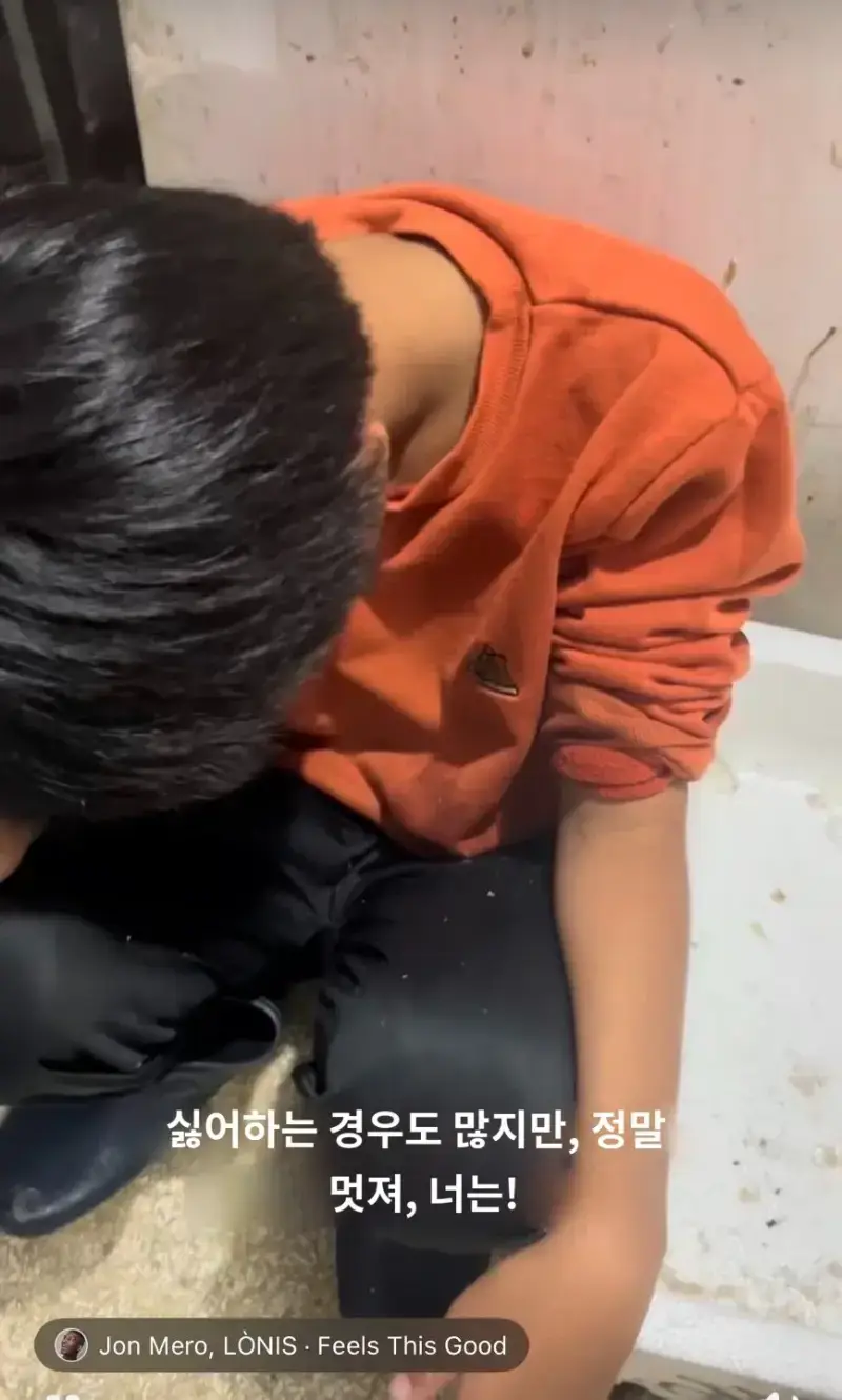 자식 자랑하려고 글올렸다 욕먹는 엄마...의 내용을 보여주는 이미지 관련 이미지 4