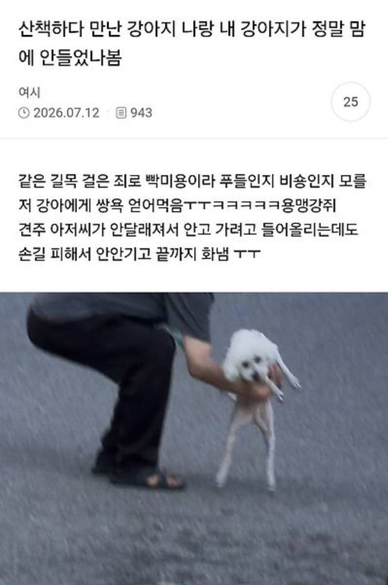 산책하다 만난 강아지 나랑 내 강아지가 정말 맘에 안들었나봄의 내용을 보여주는 이미지