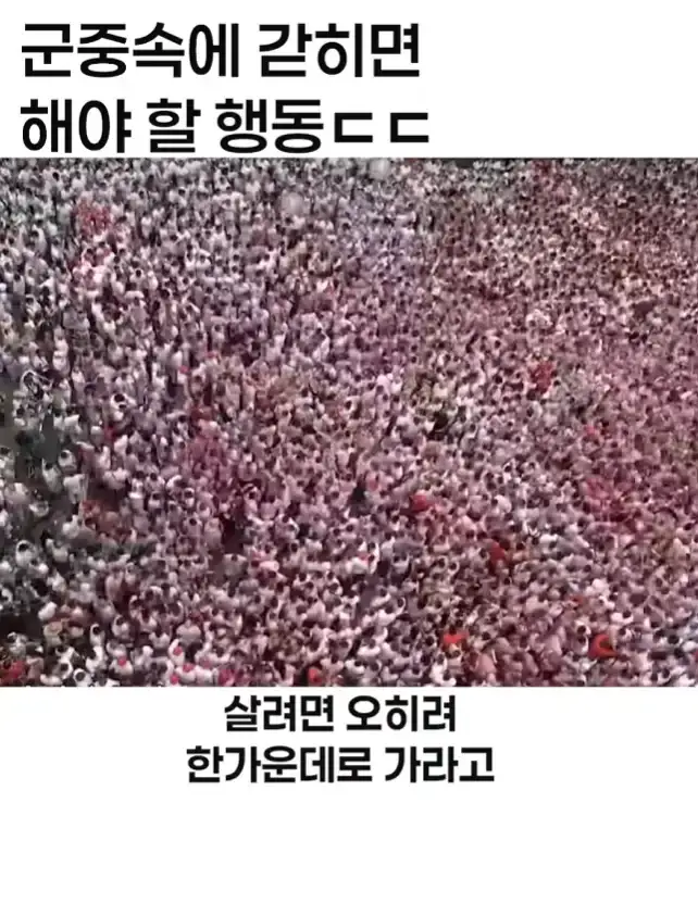 이태원 압사사고 생존자 후기의 내용을 보여주는 이미지 관련 이미지 2