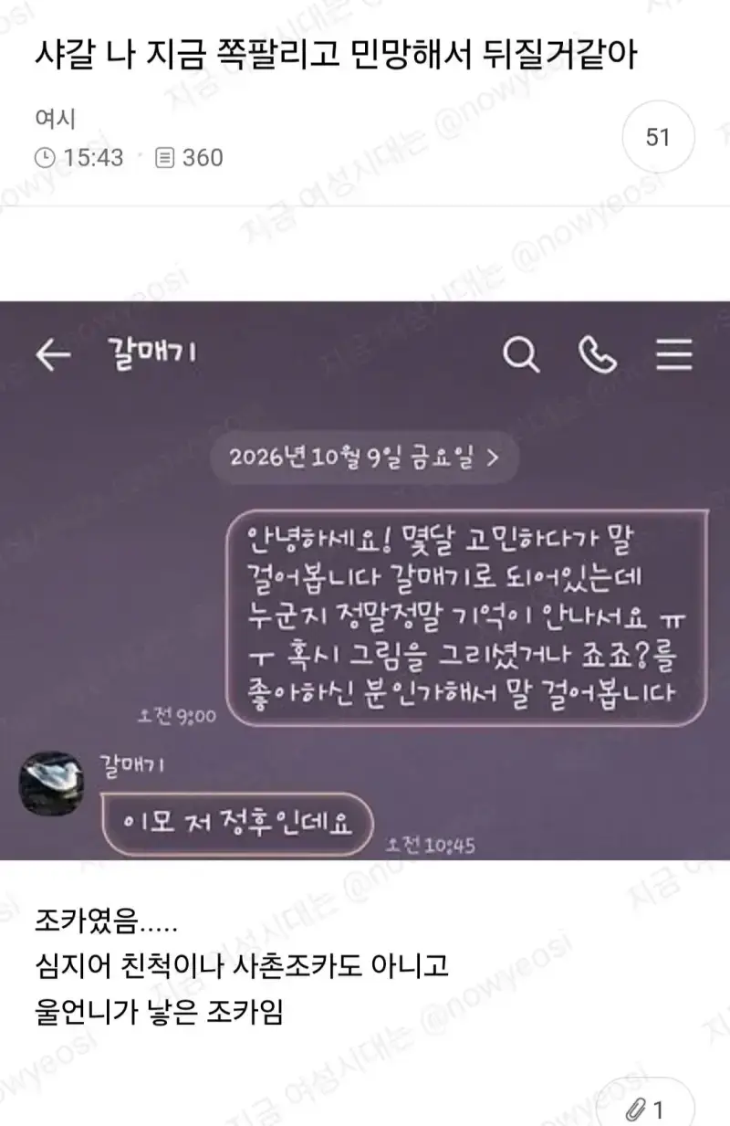 "이모 저 정후인데요"의 내용을 보여주는 이미지