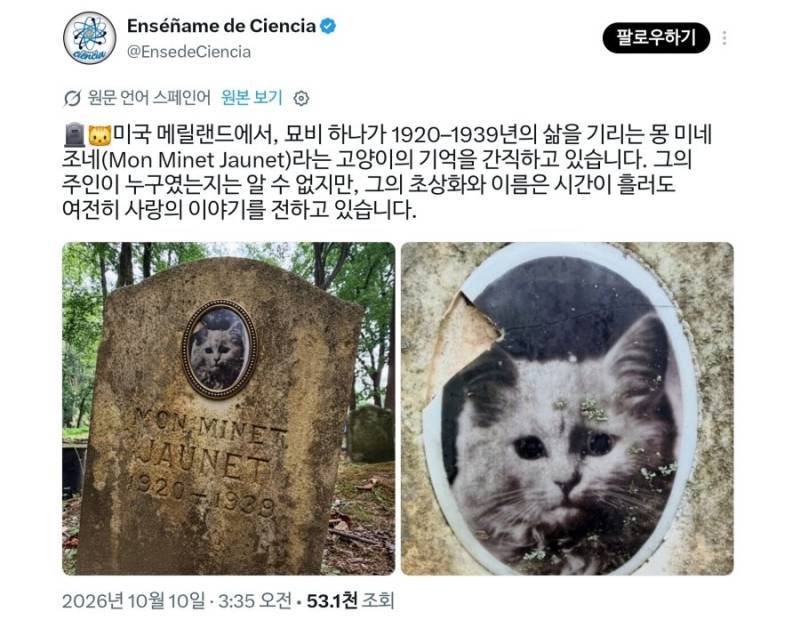 무려 87년 된 고양이 묘비의 내용을 보여주는 이미지 관련 이미지 3