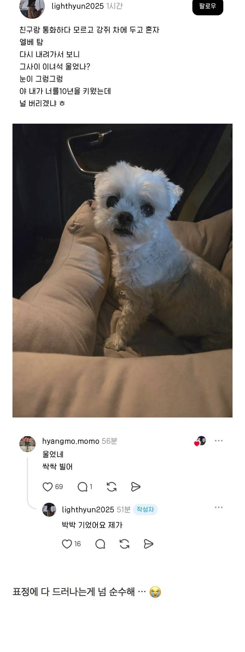 까먹고 차에 두고 엘베 탔는데 이녀석 그새 울었나의 내용을 보여주는 이미지