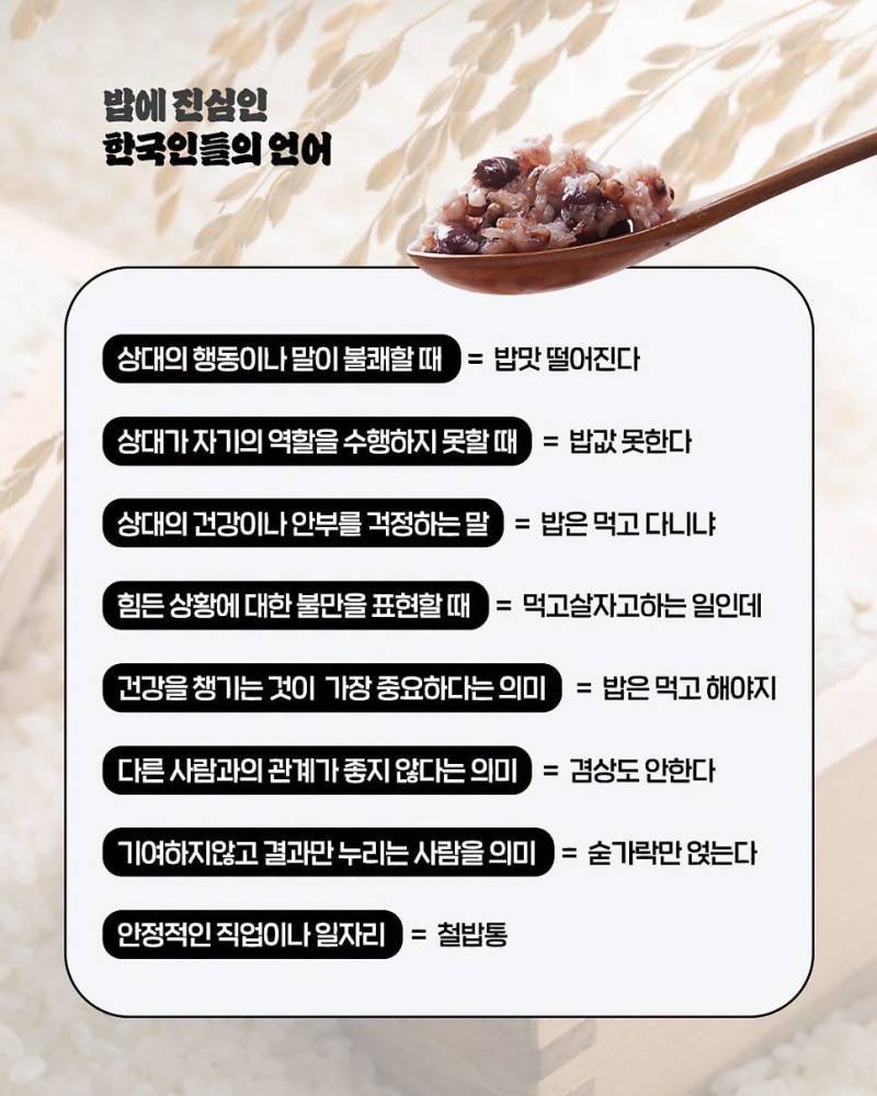 밥에 진심인 한국인들의 내용을 보여주는 이미지