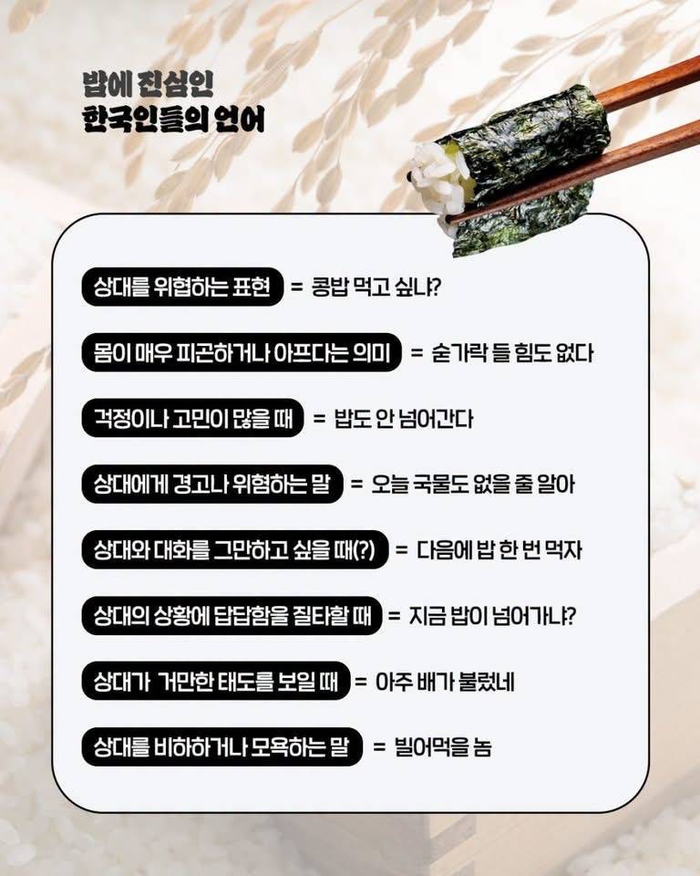 밥에 진심인 한국인들의 내용을 보여주는 이미지 관련 이미지 2