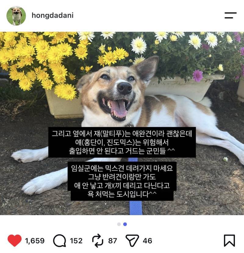 임실군에 강아지 데리고 가지마세요의 내용을 보여주는 이미지 관련 이미지 2