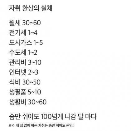 사회초년생 자취 환상의 실체의 내용을 보여주는 이미지