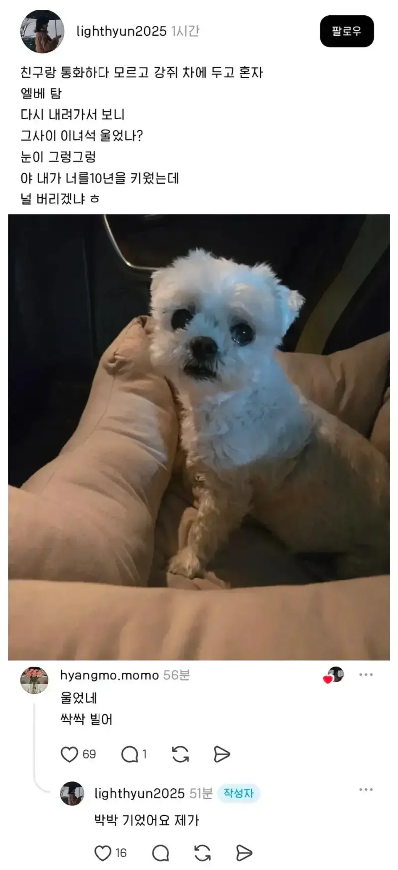 Screenshot_20261012_085915_NAVER.jpg