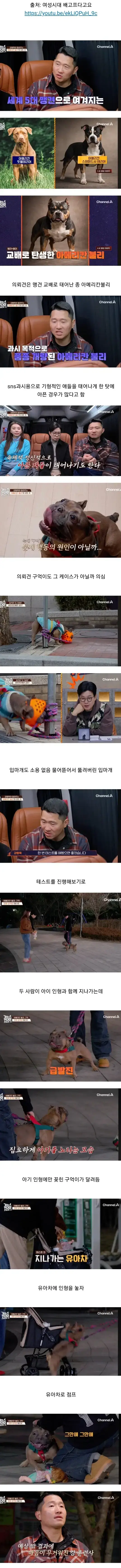 50C063cvHQmGkOA2006aU0.webp