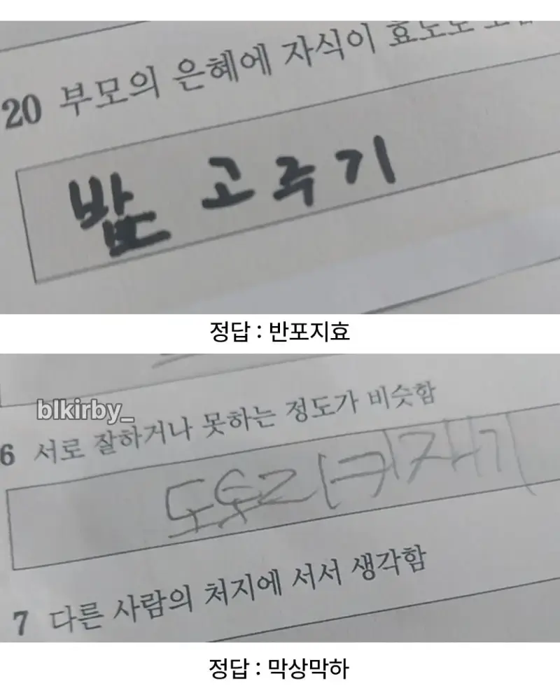 사자성어 시험 본 어린이들의 내용을 보여주는 이미지 관련 이미지 5