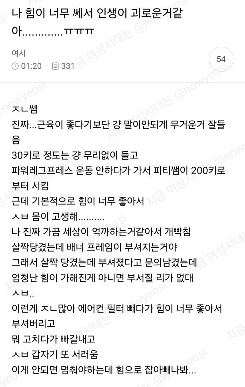 나 힘이 너무 쎄서 인생이 괴로운거같아의 내용을 보여주는 이미지