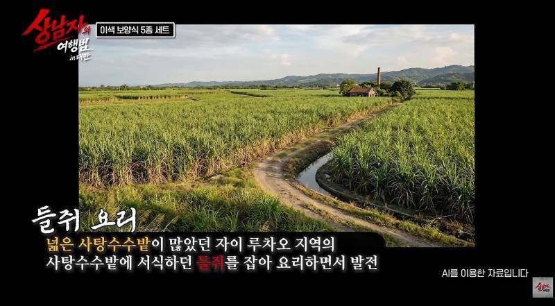 대만에서 없어서 못 먹는다는 들쥐 요리 비주얼의 내용을 보여주는 이미지