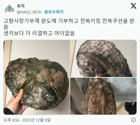 완도에 고향사랑기부하면 주는 전복쿠션 ㅋㅋ의 내용을 보여주는 이미지