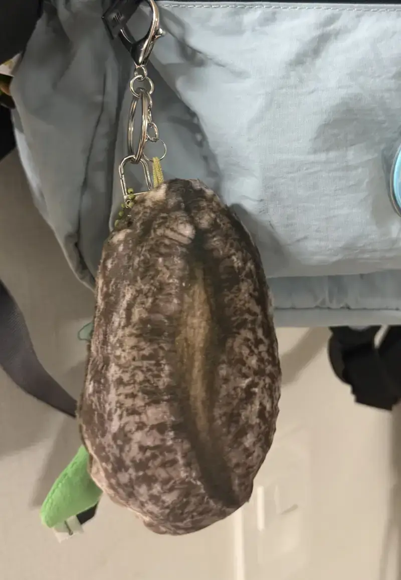 완도에 고향사랑기부하면 주는 전복쿠션 ㅋㅋ의 내용을 보여주는 이미지 관련 이미지 4