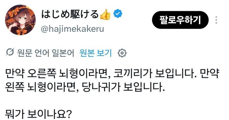 무엇이 보이시나요?의 내용을 보여주는 이미지