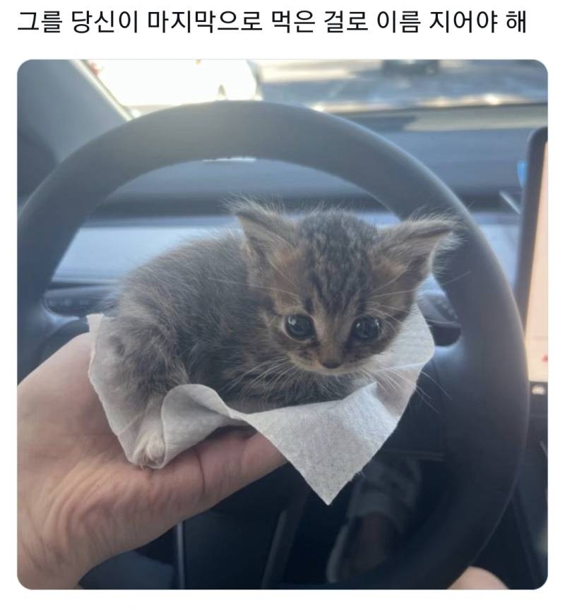 이름좀 지어 주고가의 내용을 보여주는 이미지