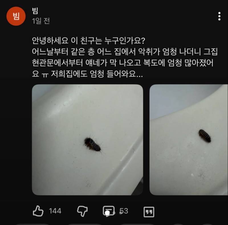주변에 출몰하면 바선생보다도 더 무섭다는 벌레...의 내용을 보여주는 이미지