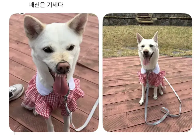 KksEXi