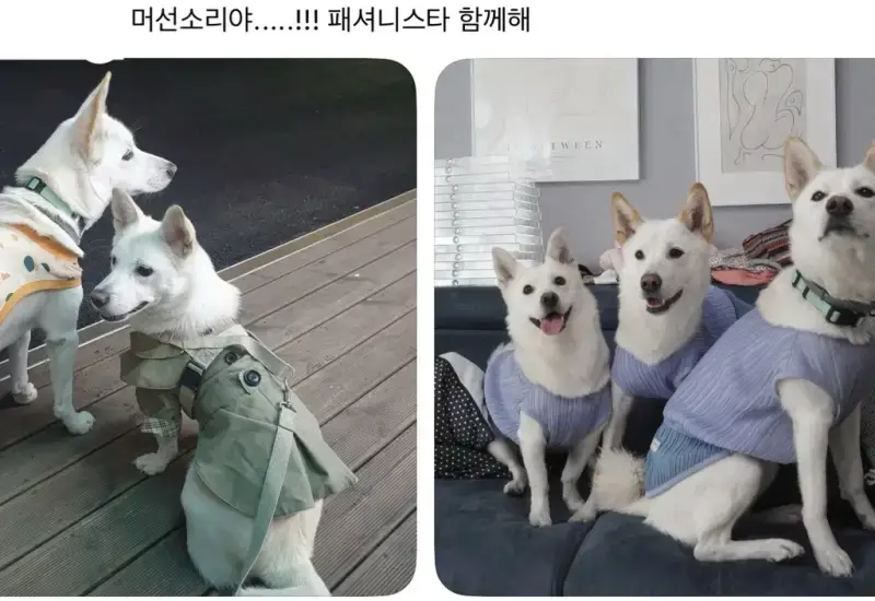 cbokLo