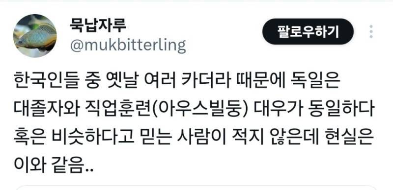 독일도 대졸 선호하지 직업학교 안가고 싶어함의 내용을 보여주는 이미지 관련 이미지 4