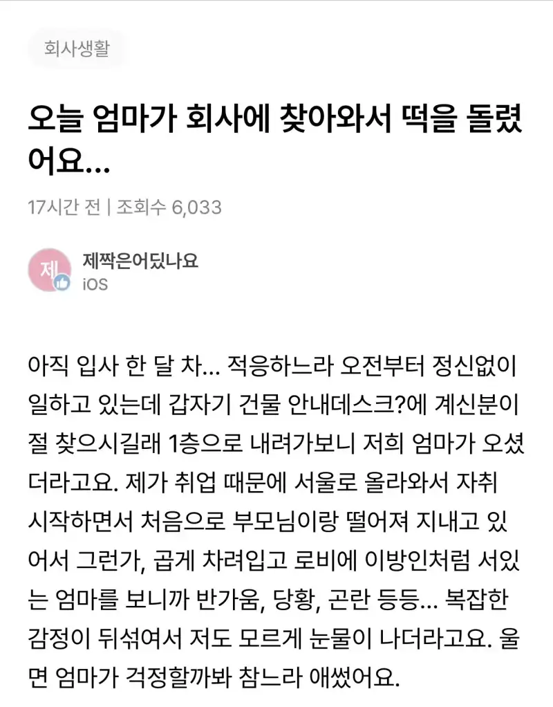 오늘 엄마가 회사에 찾아와서 떡을 돌렸어요의 내용을 보여주는 이미지