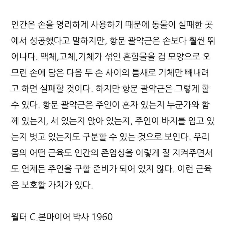 63gQbwzH7W2seUIki64we6.jpg