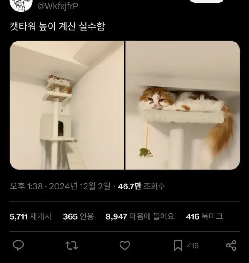캣타워 높이 계산 실수함의 내용을 보여주는 이미지