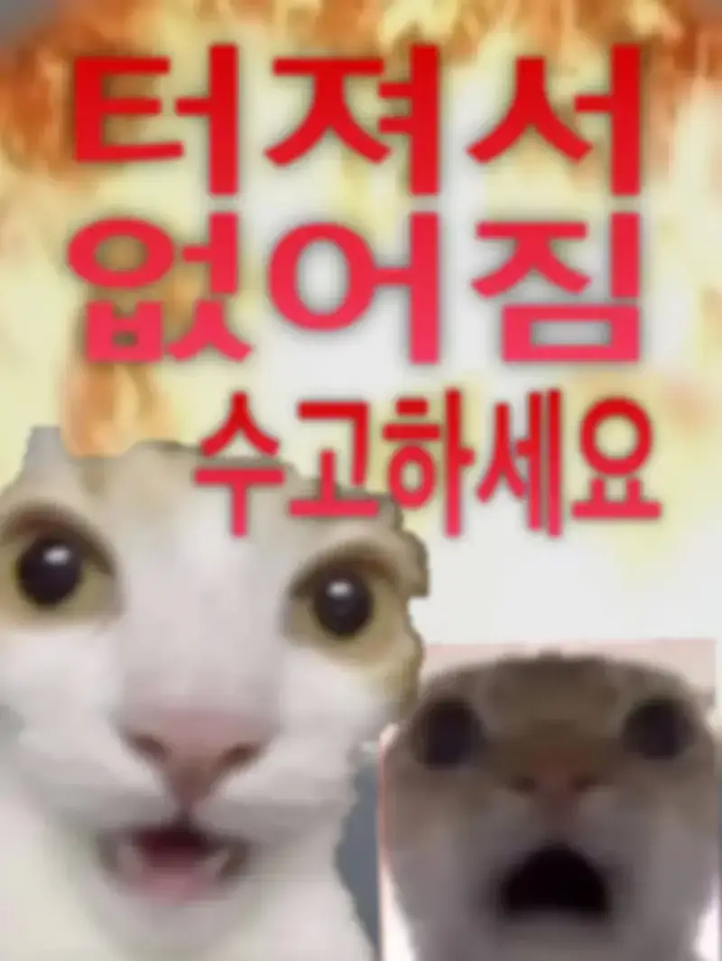 규모 20.0 지진이 일어나면 생기는 일의 내용을 보여주는 이미지 관련 이미지 13